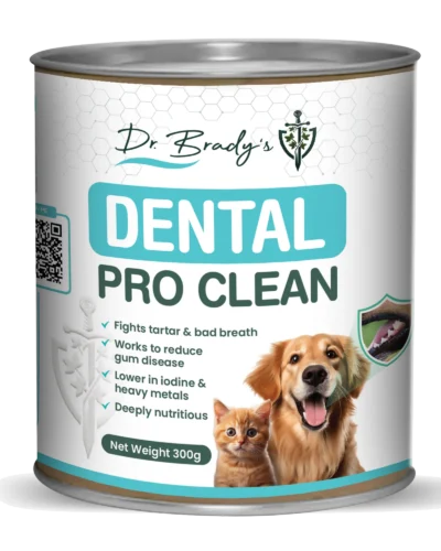 Dr Brady's Dental Pro Clean - A maneira natural de limpar os dentes
