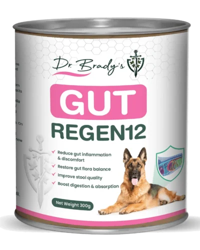 Dr. Brady's Gut Regen12 - Para problemas intestinais crônicos em cães