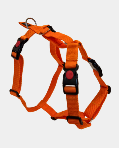 Arnês para cão – Tamanho M (médio) - Canuzzo