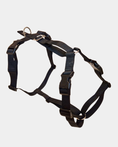 Arnês para Cão – Tamanho XL (extra grande) - Canuzzo
