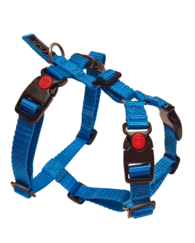 Arnês para cão – Tamanho S (pequeno) - Canuzzo