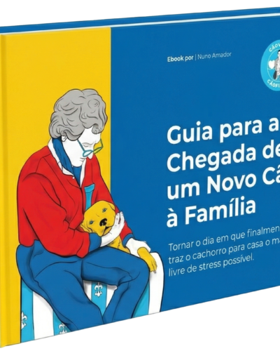 Guia para a Chegada de um Novo Cão à Família