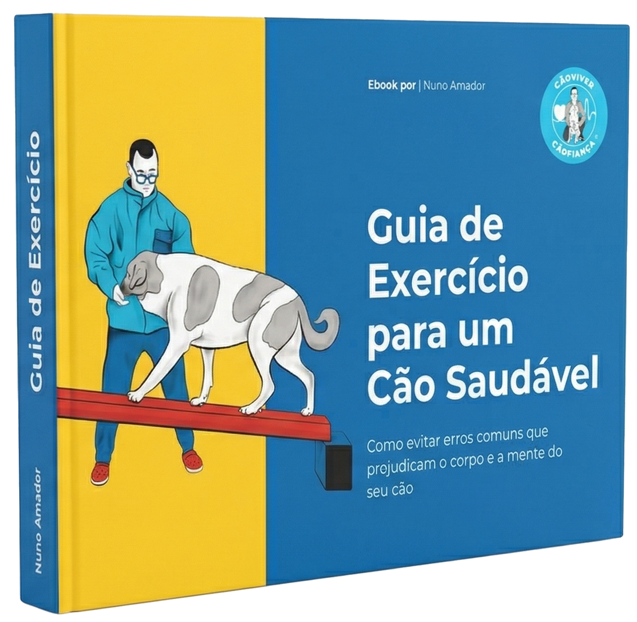 Guia de Exercício para um Cão Saudável