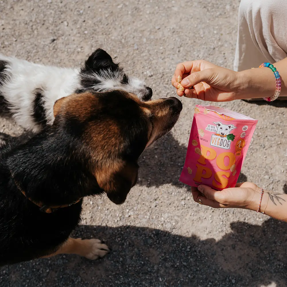 VegDog Pops para Cachorro - Imagem 3