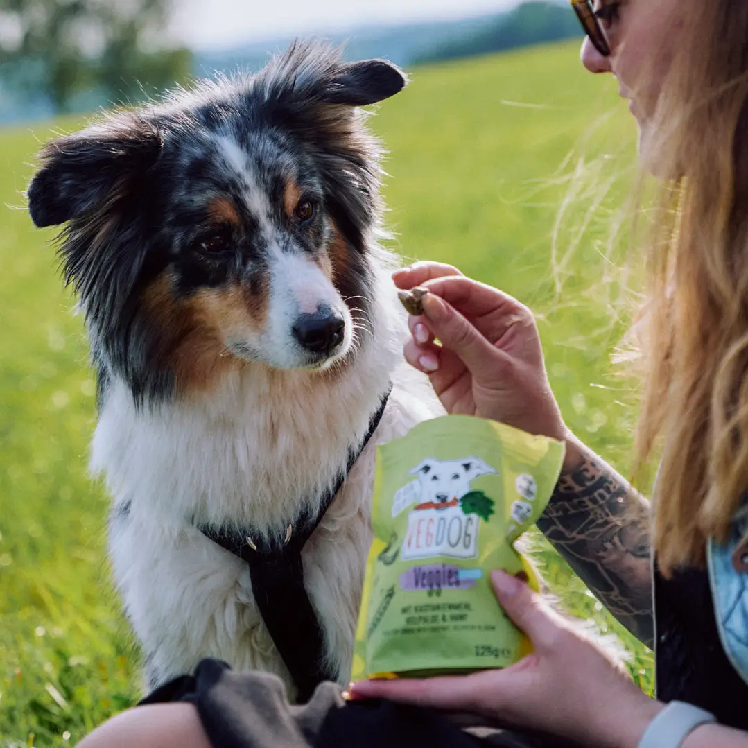 Vegdog Veggies Skincare - Imagem 3